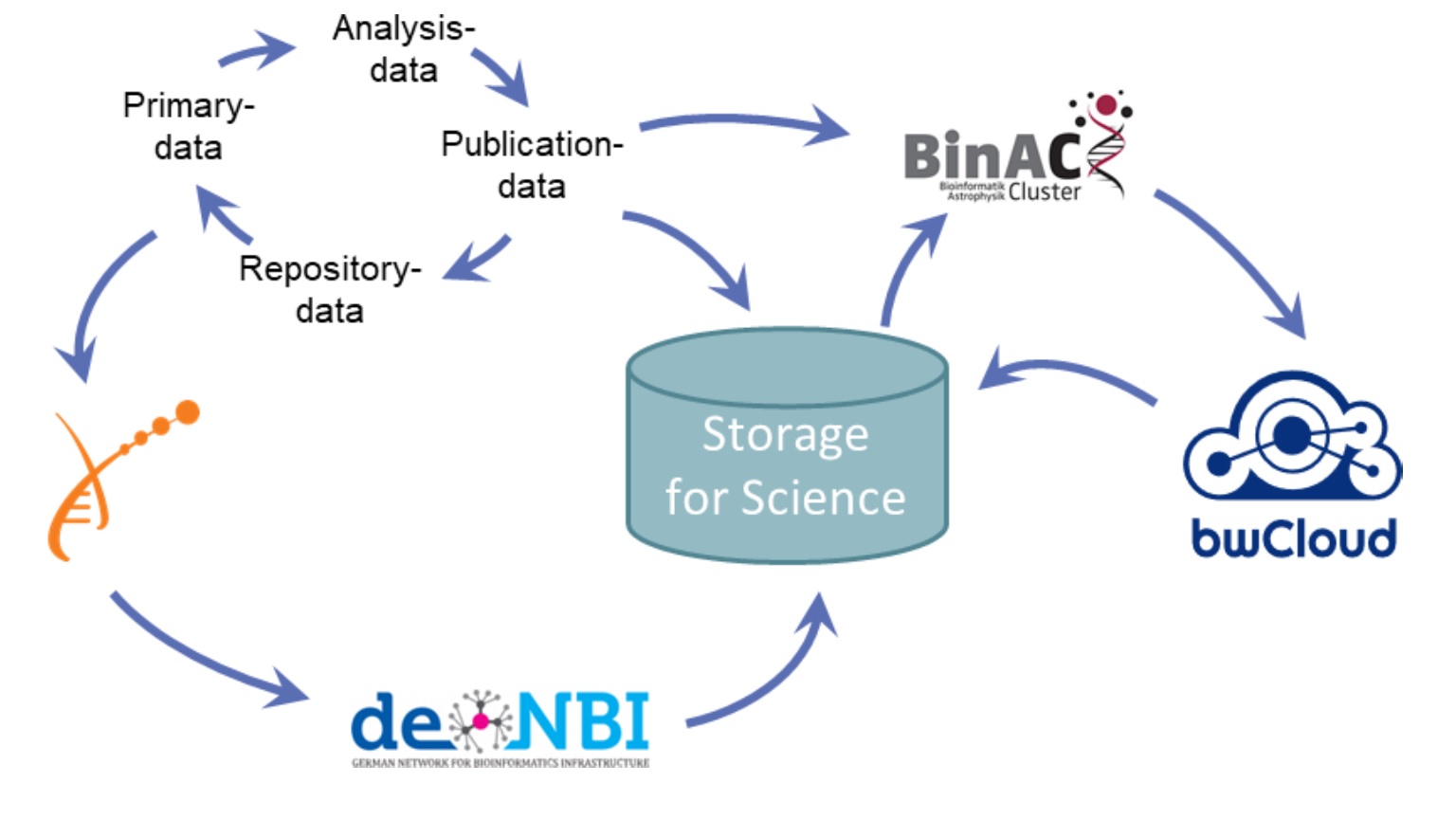 BioDATEN Lifecycle